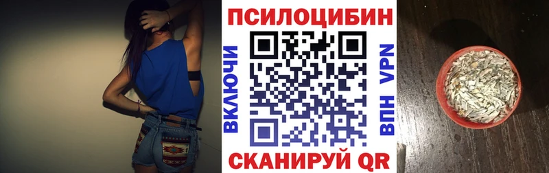 Псилоцибиновые грибы Psilocybe Усть-Илимск