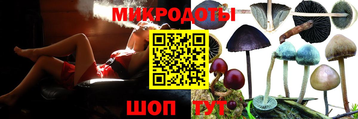 Псилоцибиновые грибы GOLDEN TEACHER Усть-Илимск