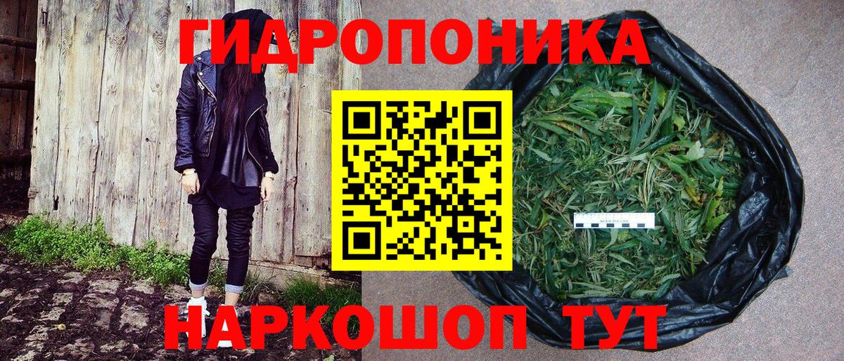 Конопля гибрид  Бошки марихуана OG Kush  Вход с VPN  Марихуана сатива  Усть-Илимск  Бошки марихуана марихуана 